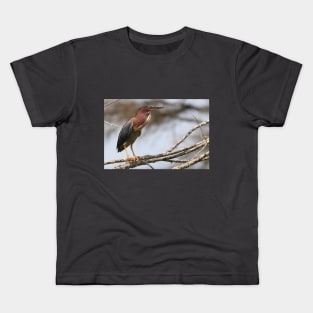 Green Heron on a Branch Kids T-Shirt